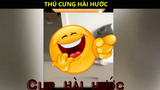 Tổng hợp các Video Hài Hước Của Thú Cưng p8