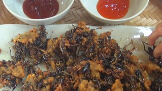 DẾ LĂN BỘT CHIÊN GIÒN - NGON XỈU PHÚT CUỐI, CƠM TRƯA VỚI RAU MUỐNG CHUA CHẤM MẮM ỚT CÁ CHIÊN.