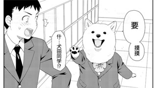 隔壁桌的美少犬求摸摸！