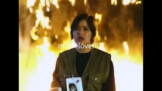 Wang Wang,Buhay Bombero