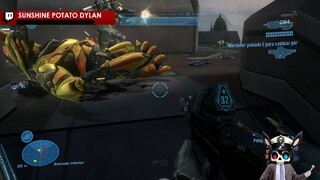 Halo reahc 22212 XD