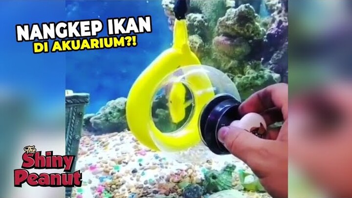 Gak Perlu Ngobok-ngobok Lagi, Inilah Cara Menjebak Ikan yang Menyenangkan