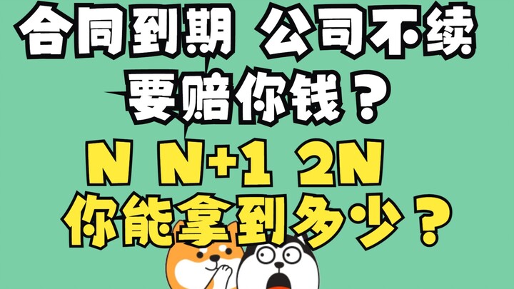 Secara jelas dan tuntas: Apa sebenarnya arti N, N+1, 2N, dan 2N+1? Mengapa ada perusahaan yang harus