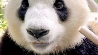 Trưa phải ăn ngon