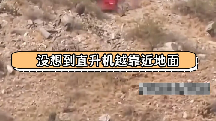 As soon as she was discharged from the hospital, the elderly woman gazed at the space agency’s offer