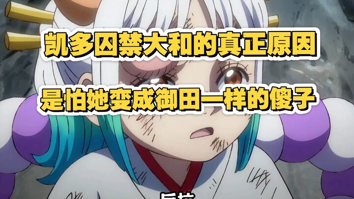 Cuối cùng cũng hiểu được nguyên nhân thực sự khiến Kaido giam giữ Yamato: hóa ra là vì hắn sợ cô sẽ 