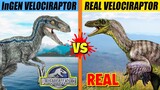 Velociraptor Fight: Jurassic World vs Real Life | SPORE