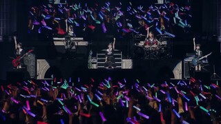 ROSELIA - VIOLET LINE [ROSENCHOR] SPECIAL PERFORMANCE