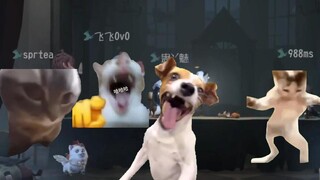 Sebenarnya, empat hitam macam apa yang membuat Feisha'er pusing?