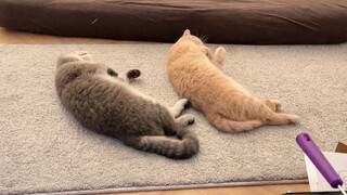 请输入开机密码