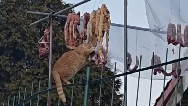 Mi’s already been blown away by the scent.