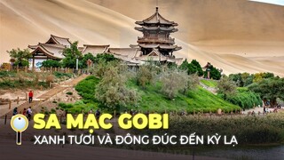 SA MẠC GOBI: SA MẠC MÀ CHẲNG GIỐNG SA MẠC | XANH TƯƠI, TRÙ PHÚ VÀ GIÀU CÓ