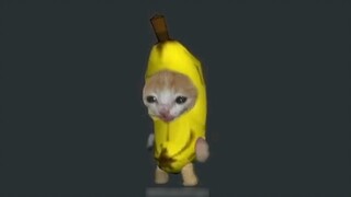 The Banana Cat