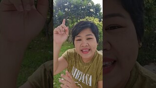 ทำไมห้ามปลูกดอกลั่นทมในบ้าน #ความเชื่อ #สายมูเตลู