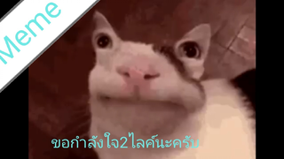 #ภาคนรก ภาคMeme