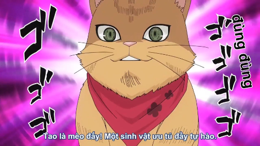 Khi lũ mèo định thôn tính trái đất gặp phải thanh niên cứng