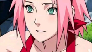 SAKURA SEDIKIT BESAR ASETNYA