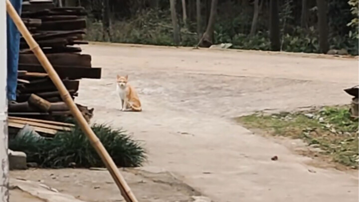 ฉันแค่ให้ปลาที่เหลือจากกินแก่คุณ แล้วคุณจะรู้ได้อย่างไรว่าฉันดูแลเธอได้