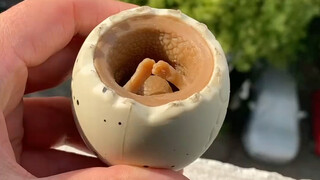 The toy Grandpa bought for his grandson, but Dad got hooked on playing with it.