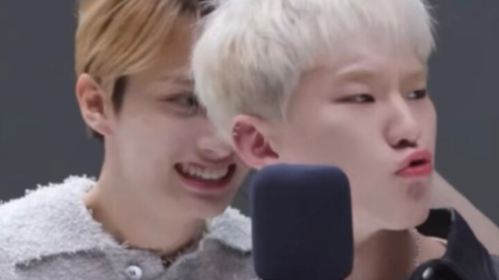 [Twins/Rongjun] Ever seen a cat and a mouse sharing the same brain? | Wen Junhui x Kwon Soon-young, 