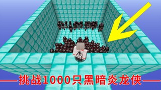 我的世界:开局挑战1000个黑暗炎龙侠会发生什么？