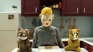 A day in my life with my pets 🤪😽🐶 Cat stop motion animation clay