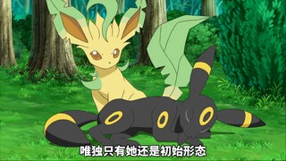 不可思议的伊布与来电汪成为了好朋友，来电汪便带着小春认识了伊布！