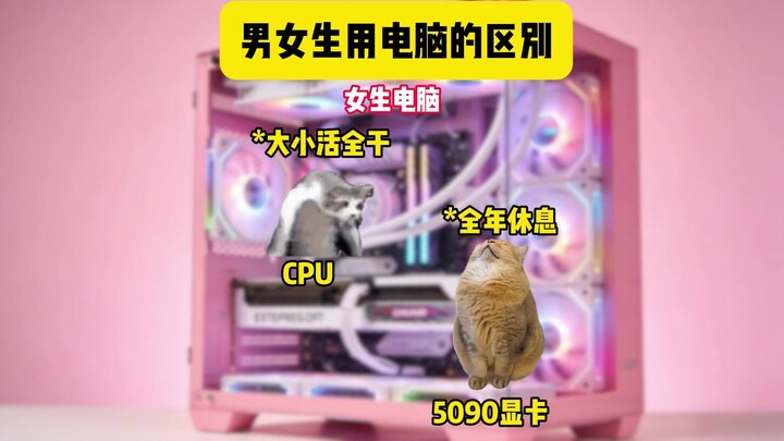 Sự khác biệt giữa nam và nữ khi dùng máy tính