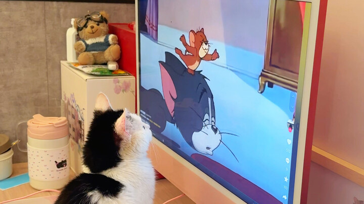 Chẳng biết tự bao giờ, chân lợn đã lớn lên rồi~