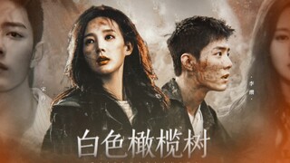 【白色橄榄树|上】“我的心愿是世界和平”|肖战x李一桐|李瓒x宋冉