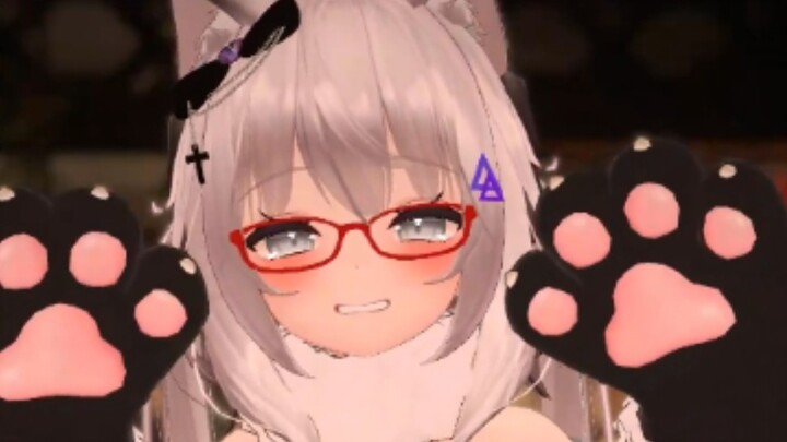 好可爱的猫猫啊