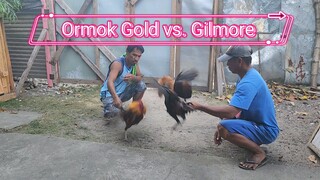 Ormoc gold vs. Gilmore