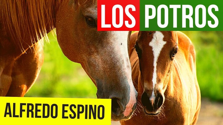 LOS POTROS ALFREDO ESPINO 🐎🌪️ | Jícaras Tristes Auras del Bohío 🌄 | Alfredo Espino Poemas