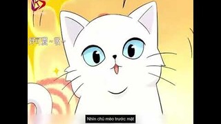 Chàng Trai Sở Hữu Cảnh Giới Trên Huyền Quận Nhưng Trong Mắt Mọi Người Lại Giả Làm Tên Phế Vật