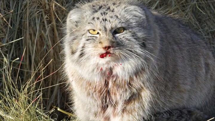 Is there still hope in this situation?