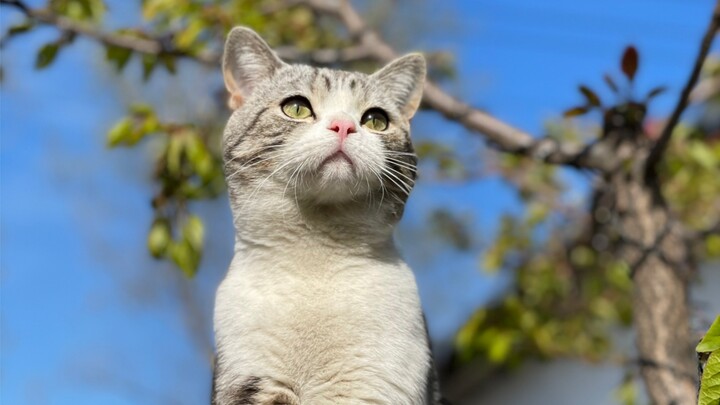 لم أكن أتوقع أن زوجي سيختصر في الجودة أيضًا!