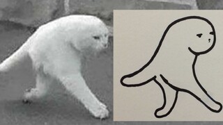 That's Just How My Cat Looks!