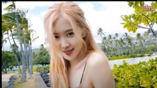 BLACKPINK Summer Diary 2019 in Hawaii [Vietsub]