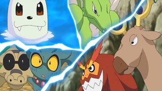 các Pokemon đánh nhau TRANH GIÀNH MIẾNG Ăn =))