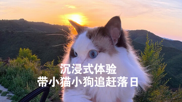 Phải diễn tả cảm giác này thế nào nhỉ