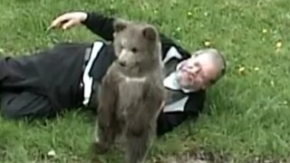 Memiliki seekor beruang kecil berbulu