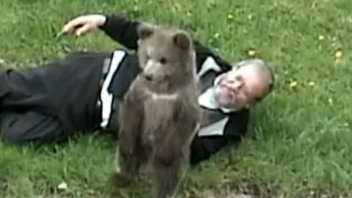 Memiliki seekor beruang kecil berbulu