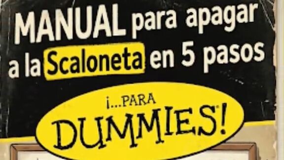 ¿cómo hizo españa para denter a argentina en la final?