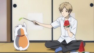 Natsume's daily cat-fucking routine
