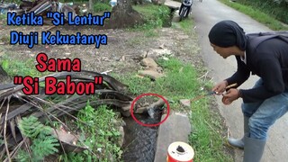 Asyiknya Mancing di Selokan Pinggir Jalan Strikenya Babon