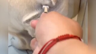 Mobile phone: Don't plug it into me anymore