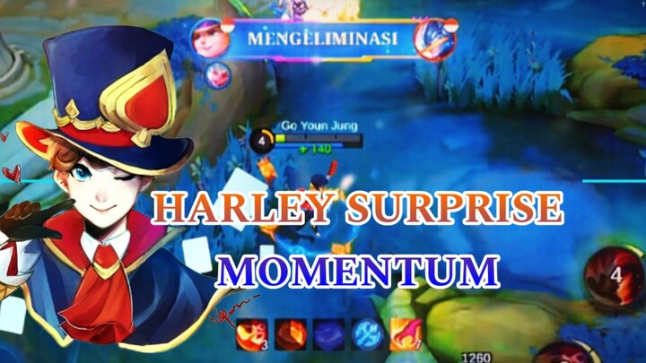 HARLEY SURPRISE MOMENTUM