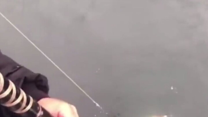 Đây là cảnh câu cá kỳ quặc nhất mà tôi từng thấy... Những người biết câu cá đều im lặng... #ĐánhGiáG