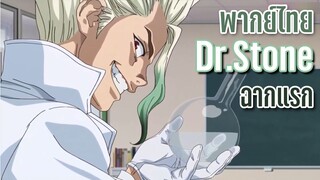 ลองพากย์ dr.stone ฉากแรก By KiAnime