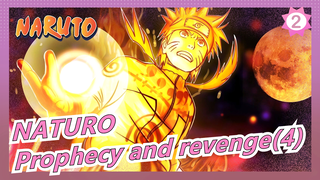NATURO|Prophecy and revenge(4)Luffy stalling time on the way to find Sasuke_B